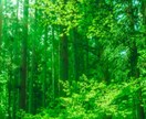 劇的に早くブレイクスルーにたどり着きます 自分自身を変えることなく、自分の人生や価値観が変わります イメージ1
