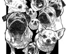 自慢の愛犬を雑誌(?)っぽく仕上げます 自慢の愛犬や小動物、爬虫類も大丈夫です！可愛く仕上げます✨️ イメージ1