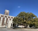 後悔しない大学選びをサポートします 研究、ビジネス、スポーツと幅広く活動する現役院生が対応！ イメージ1