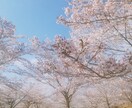 優しい言葉と雰囲気でそっとあなたに寄り添います 異性関係・職場・精神的な事。１人で溜め込まないで話してみて イメージ8