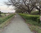 お子様の困りごと＊一緒に解決策を見付けます お子様の困りごと＊具体的な解決策を見付けます。 イメージ1