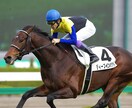 複勝馬券術おしえます ある程度の資金と根性が必要かと思います！ イメージ1