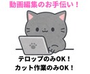 動画編集をお手伝いします コスパ重視!テロップ入れのみもOK! イメージ1