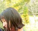 様々なシーンで活用できる素敵な写真素材を提供します 風景もポートレートも新鮮さを求めた写真を。 イメージ6