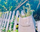 大自然の写真販売しています 猫 空 ビーチ オペラハウス×虹 イメージ2