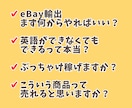 eBay輸出を始めたいけど不安な方の相談に答えます 私にもeBayできるかな？という疑問に現役セラーが回答！ イメージ2