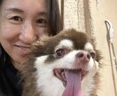 どんな事でも貴方の気持ちに寄り添います 共感力には自信があります。ぼっちを無くしたいが私の願いです。 イメージ4