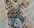 手描きで優しいペット似顔絵をお描きします 写真をもとに、やさしい雰囲気の似顔絵を描きます イメージ6