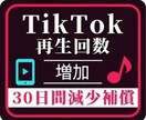 TikTokの再生回数【100万回】増やします ティックトック集客・リアルユーザー・宣伝・動画バズらせます！ イメージ1