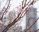 育児相談・チャイルドカウンセラーが聞きます お話しをしてスッキリしてみませんか？小児専門カウンセリング☆ イメージ1