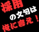 採用担当＆WEB広告営業が採用の悩みを解決します 企業の目線に立ち、求める人材と求職者をマッチング♪ イメージ4