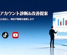 SNSアカウント診断＆改善提案します 伸びない原因をプロが分析し具体策を提示します（レポート納品） イメージ1