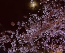 愚痴聞きます 愚痴を聞きます！なんでも話してください！ イメージ1