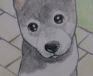 犬の似顔絵 イラスト風に描きます。 イメージ3