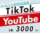 Tiktok、Youtubeショート動画編集します 元動画合計5分まで3000円〜で編集します イメージ1