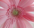 マヤ暦♪あなたの紋章や特徴をお伝えします マヤ暦に触れて、宇宙の流れに乗ろう♪ イメージ1