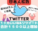 １ヶ月ツイッターRT＆いいね各５０日本人拡散します 【日本人限定】１ヶ月１５００拡散！フォロワー総合計60万人へ イメージ1