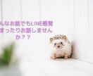 LINE感覚で気軽にお喋りします 直接話すのが苦手な方もLINEのようにゆるーくお喋りできます イメージ1