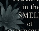 小説のアイディアや添削、プロントなど考えます 小説家の悩みのあれこれ解決します！ イメージ1
