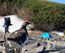 北アルプス・八ヶ岳の安全登山をアドバイスします /初心者でも安全に楽しむコース選びと装備相談を受付中！！ イメージ2
