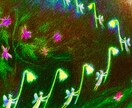 ★オラクルカードであなたへメッセージをお知らせします。 イメージ1