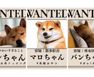 愛犬・愛猫の写真を指名手配風ポスターに加工します 思わず笑ってしまう一枚に大変身！SNS投稿・プレゼントにも イメージ1