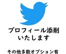 Twitterのプロフィール添削します プロフィールを魅力的にすることからはじめましょう！ イメージ1