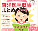 東洋医学概論をまとめたノートをお譲りします 勉強が捗る！イラスト沢山のカラフルで見やすいノートです。 イメージ1