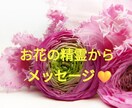 お花の精霊からスピリチュアルメッセージ届きます 10種類の写真から気になるお花を選んで下さい イメージ1