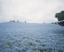人物写真の美化加工やフィルムカメラ風加工いたします 「お気に入りの写真が盛れてない…」という方、お任せください！ イメージ3