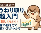 チャートの波をつかむ株の動き方と買い方教えます 「難しい」と思われがちな“うねり取り”を、図と事例で解説！ イメージ1