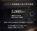 即レス対応動画編集代行30分まで対応します はじめての外注も安心。ご希望に沿って丁寧に編集します イメージ6