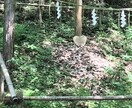 50代まで！結婚したい人の恋愛相談いたします 出会いについてや出会ってからの悩みなどアドバイスいたします！ イメージ4