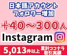instagramフォロワー40〜300増やします インスタ日本語アカウントからのフォロー増加！宣伝拡散 イメージ1