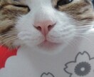 悩みや愚痴をききます 悩みを解決して笑顔になりましょう！あなたの笑顔が私の笑顔。 イメージ1