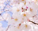 関西で撮影代行を行います 風景が得意なカメラマンが撮影を行います。 イメージ5