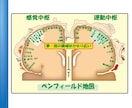 掌紋医学の手相診断で身体の弱い所をお伝えします 将来的疾患リスク、健康運を専門的な手相鑑定で簡単チェック イメージ8