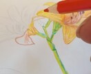色えんぴつでの絵を描きます まだ予定中でして、しばしお待ちくださいませ。 イメージ4