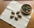 ブラジルの神秘的な貝殻占いでお手頃に悩み解決します 原住民と交流経験あるブラジル人の先生から習いました。 イメージ1