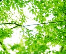 清潔感の出し方教えます 恋愛のスタートラインに立てる〜清潔感のお悩み解決マニュアル〜 イメージ2