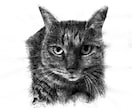 ペットの写真で水墨画を描きます 愛犬、愛猫の写真を水墨画で個性的なアート作品に仕上げます！ イメージ4
