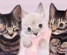 ペットの似顔絵制作します 大切なご家族との思い出、心を込めて丁寧に制作いたします。 イメージ1