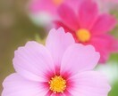 誰にも言えない心の悩み聞きます 現在ECT治療をしている双極性障害の私が何でも聞きます。 イメージ1