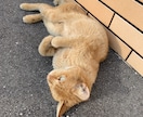 株主優待について説明します 株主優待に興味がある人におすすめです。 イメージ1