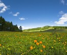 普遍の真理を個別に分かりやすく翻訳していきます 普遍の真理を、今のあなたに合う形で翻訳します。 イメージ2