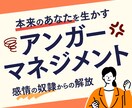 アンガーマネジメントの為の心理学的助言をします 感情の奴隷からの解放本来のあなたを活かすアンガーマネジメント イメージ1