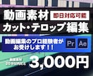 実績作りの為、格安で動画カット・テロップ挿入します 迅速な編集！即日対応も可能！伝わりやすい映像を目指します イメージ1