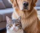 写真1枚から自然なショート動画を作ります 写真の雰囲気を壊さず、そっと動かします イメージ5