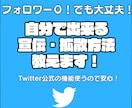 即日開始！自分で出来るTwitter拡散法教えます フォロワー数0でも、インプ数は１週間で10,000以上保証 イメージ1