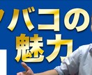 動画編集ワンストップでします 動画編集フリーランスが安く動画を編集します イメージ3